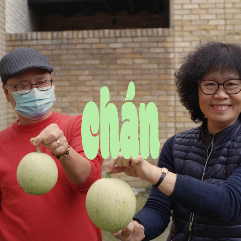 Chán馋 is a bilingual magazine dedicated to the UK Sinophone communities. Through thirteen contributions by seventeen UK-based writers and artists who self-identify as Sinophone diaspora